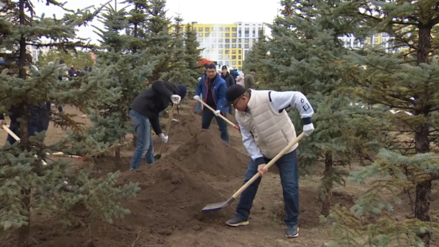 Депутаты Мажилиса поддержали экологическую акцию