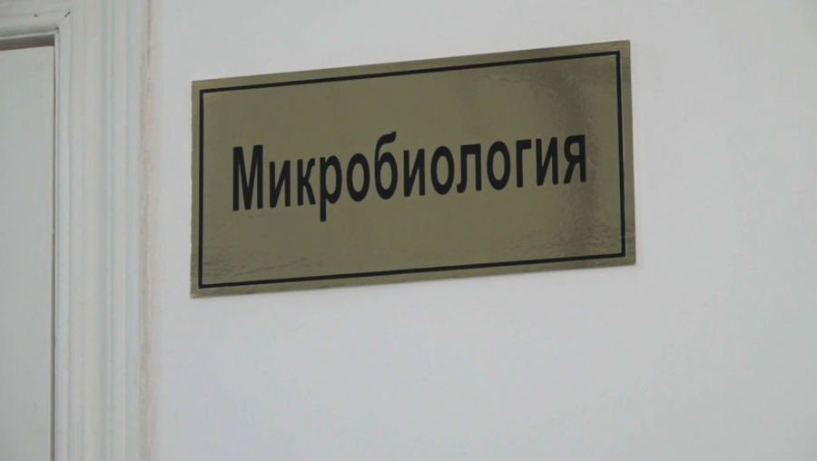 Атырау облысында белгісіз індеттен түйе қырылып жатыр