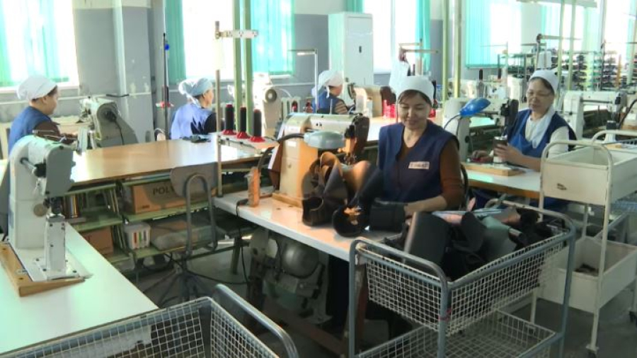 Реестр отечественных товаропроизводителей запустили в Казахстане