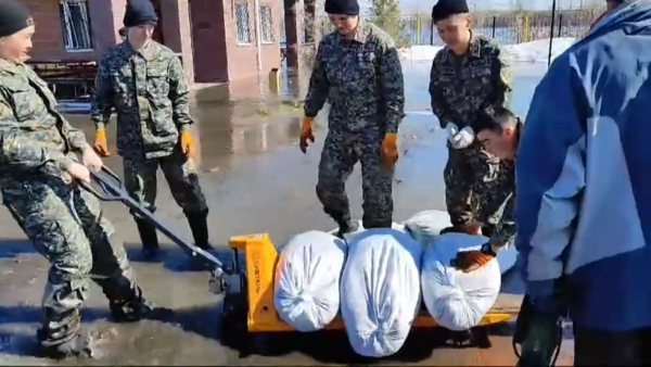 Су тасқыны: 1500 сарбаз көмекке жұмылдырылды