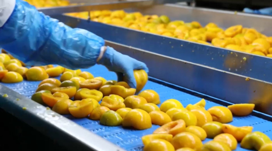 Трамп салығы грек шаруаларын тығырыққа тіреді