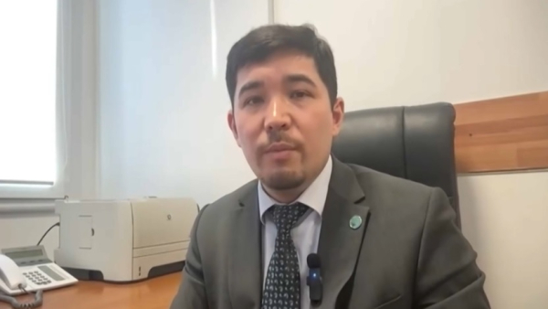 Эксперт о проведении реформ в Казахстане