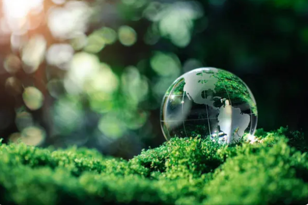 ТОП-10 экологических итогов 2025 года