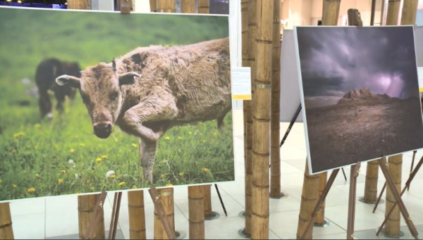 Астанада Xiaomi компаниясының қатысуымен фотокөрме ұйымдастырылды