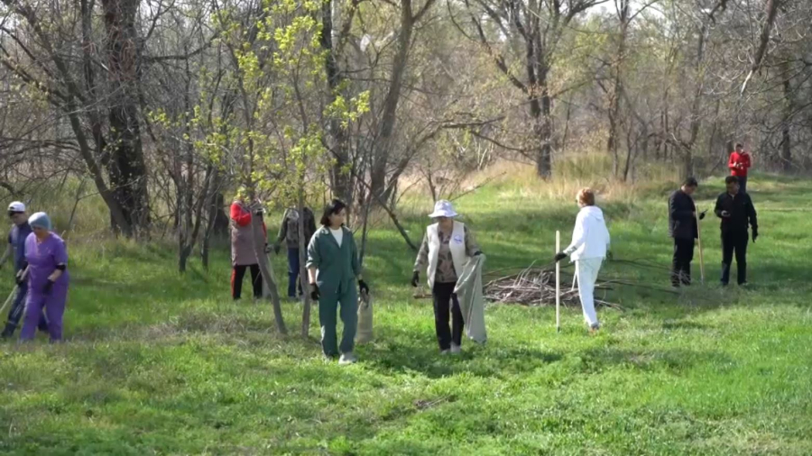 Жамбыл облысында Қызыл Жұлдыз – Қостөбе жолы қоқыстан тазаланды