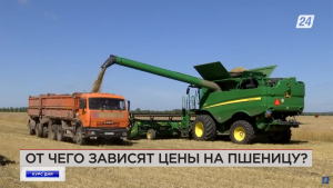 Стоимость и экспорт казахстанской пшеницы | Курс дня