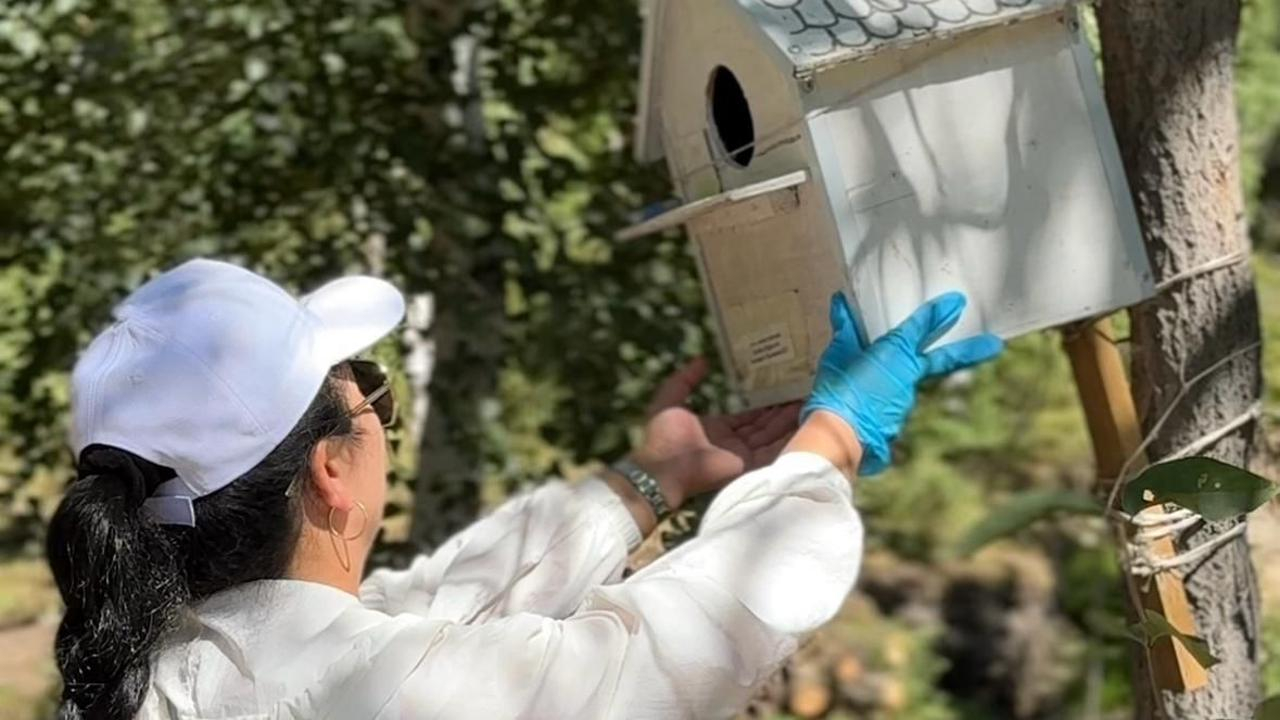 Таза Қазақстан: Ұлытау облысында экологиялық іс-шаралар өтті