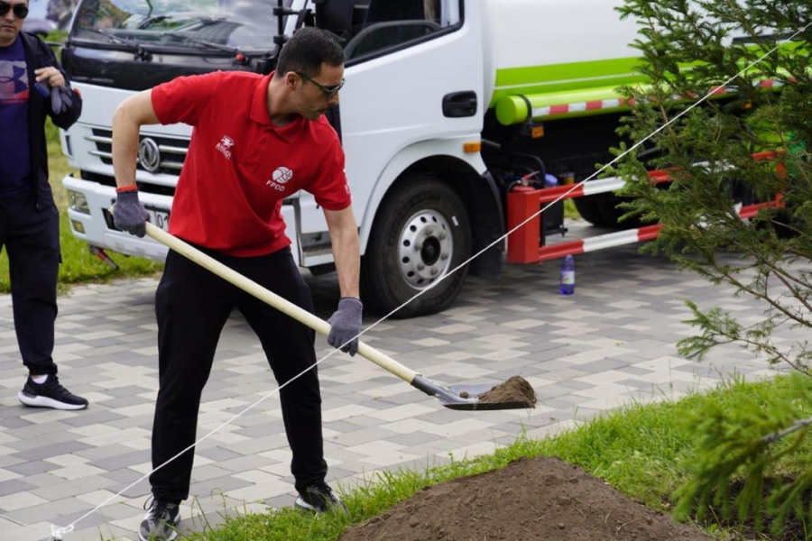 11 елдің спортшылары Астанада ағаш екті