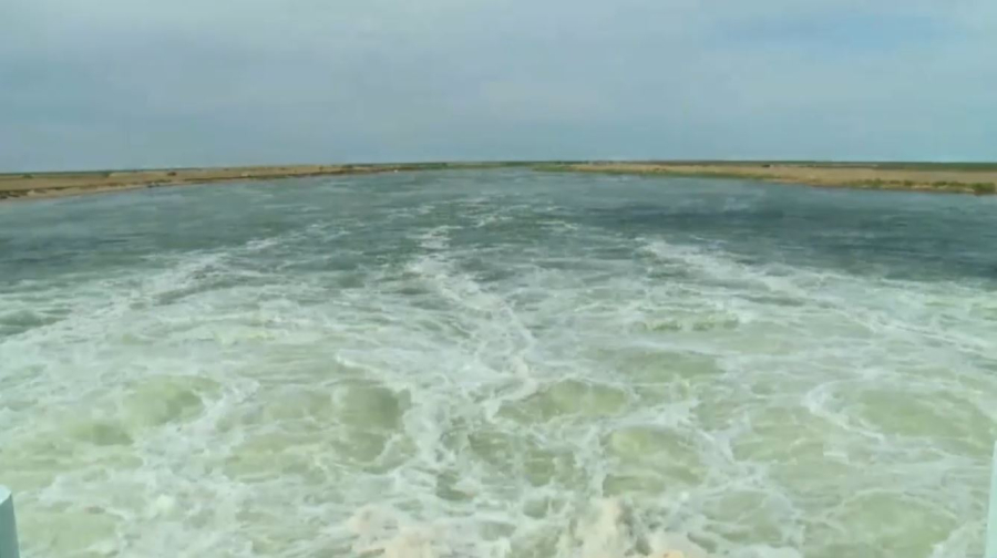 Восстановление экосистемы Аральского моря