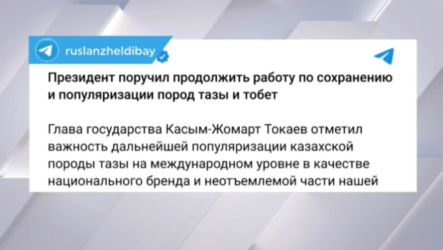 Президент поручил продолжить работу по популяризации пород тазы и тобет