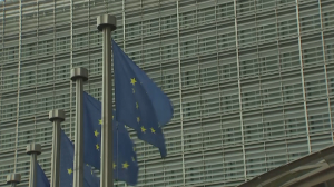 В ЕС обновили базу данных Шенгена
