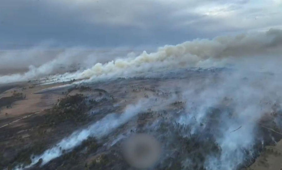 32 лесных пожара зарегистрировали в стране с начала года