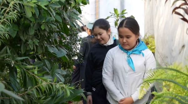 Экологический мастер-класс провели для павлодарских школьников