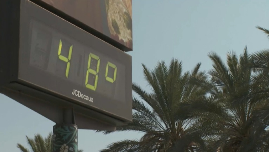 ВОЗ призывает защитить работников по всему миру от жары