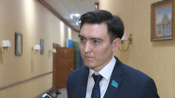 Депутаттар: Жеке инвесторларға жағдай жасау керек