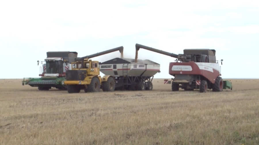 Уборочную завершают в Костанайской области