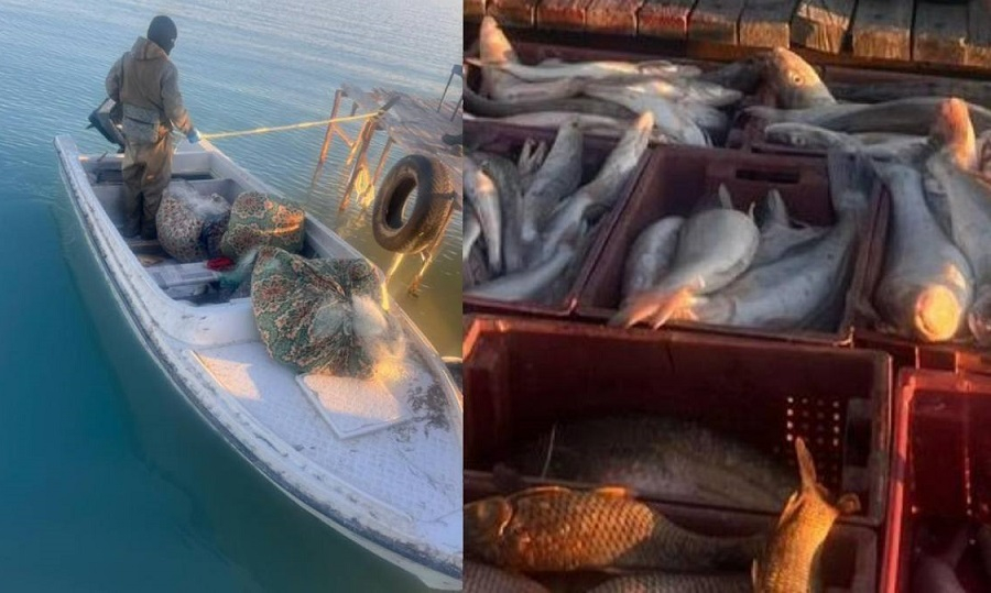Браконьеров с крупным уловом задержали на озере Балхаш