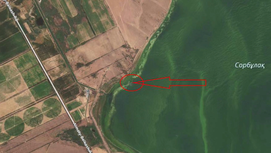 Жоғалған ЕС-145 әскери тікұшағының бөлшектері табылды