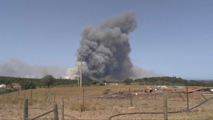 Лесные пожары в Португалии: 1400 человек эвакуированы