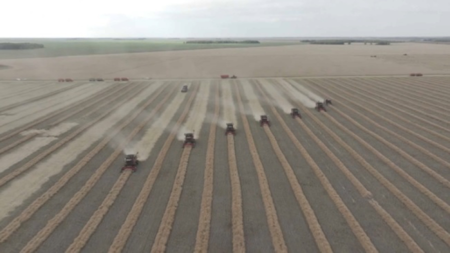 Уборочная кампания в СКО близится к завершению