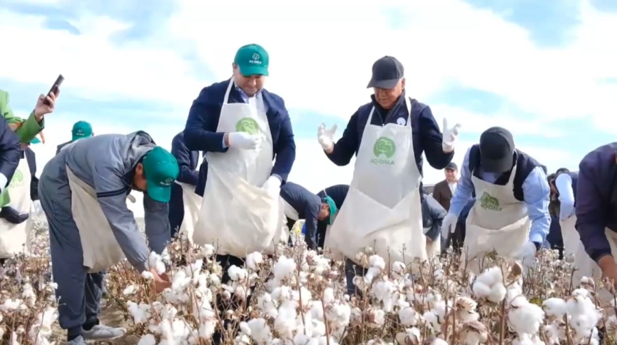 Түркістан облысында «AQ-DALA» мақташылар фестивалі өтті