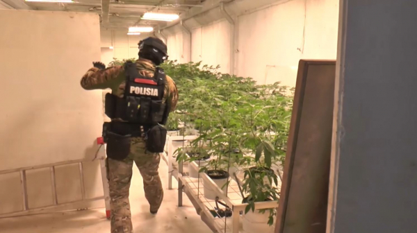 Закон и порядок: свыше 18 тонн наркотиков изъяли полицейские с начала года