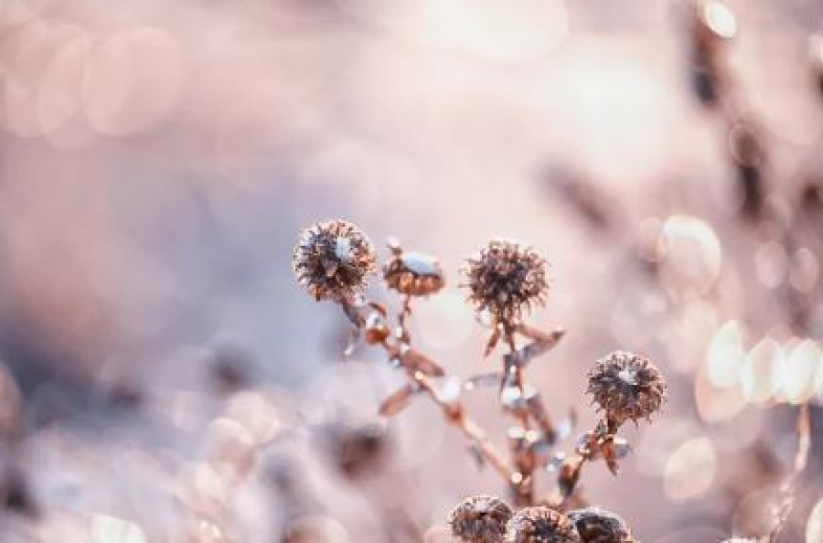 Влияние холодного антициклона сохраняется в Казахстане