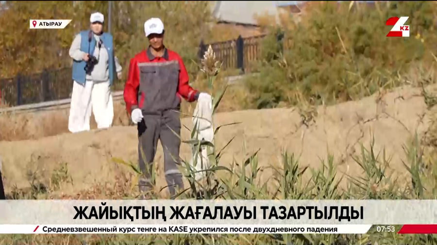 «Таза Бейсенбі»: Жайық жағалауы тазартылды