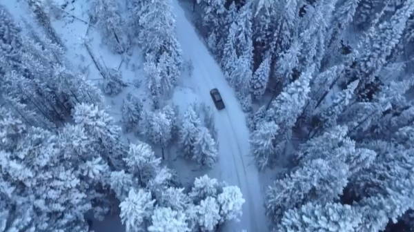 «Ертіс орманы» басшысы қамауға алынды