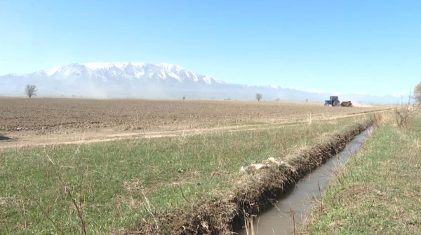 Алматы облысының шаруалары көктемгі егіс науқанына кірісті
