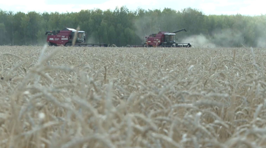 СҚО-да орақ науқанына 7 мың комбайн шығады