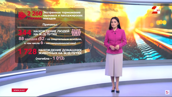 Из-за чего поезда вынуждены прибегать к экстренному торможению