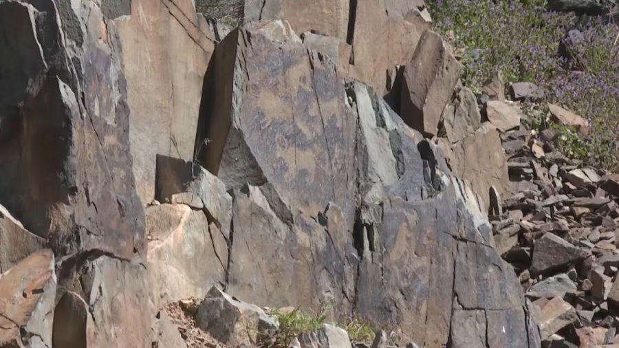 К комплексному изучению петроглифов в Жамбылской области приступили учёные