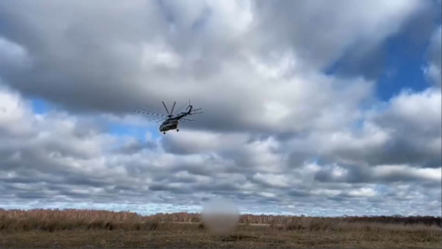 Бесқарағай ауданындағы өрт 1200 гектар аумақты шарпыды