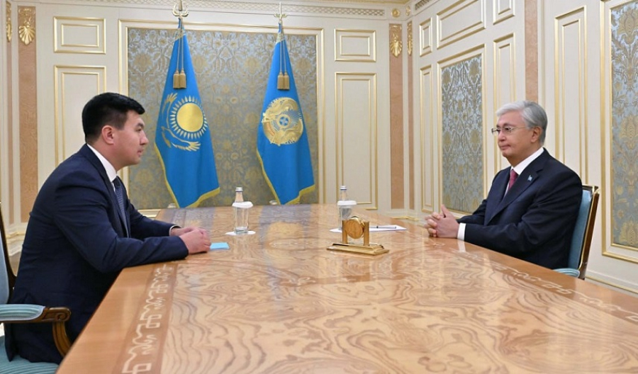 Глава государства принял президента Казахстанской федерации бокса