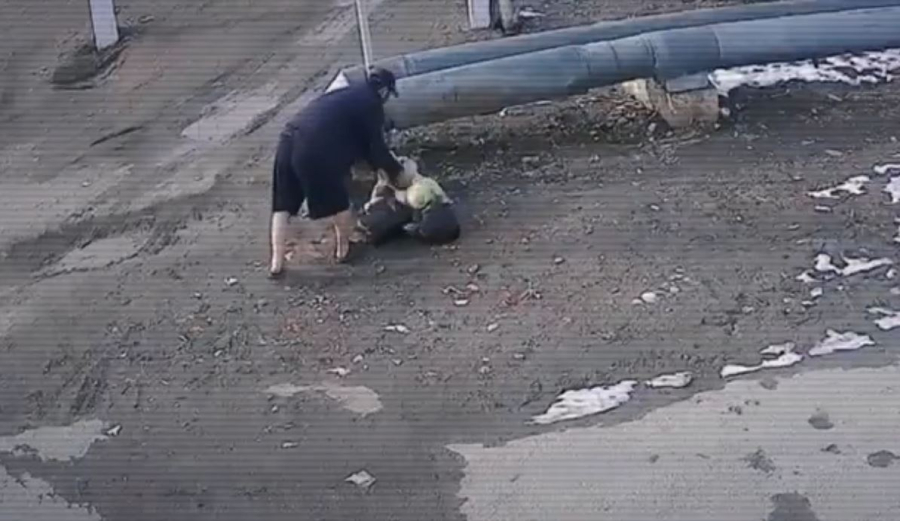 Видеокамеры помогают следить за экологической ситуацией