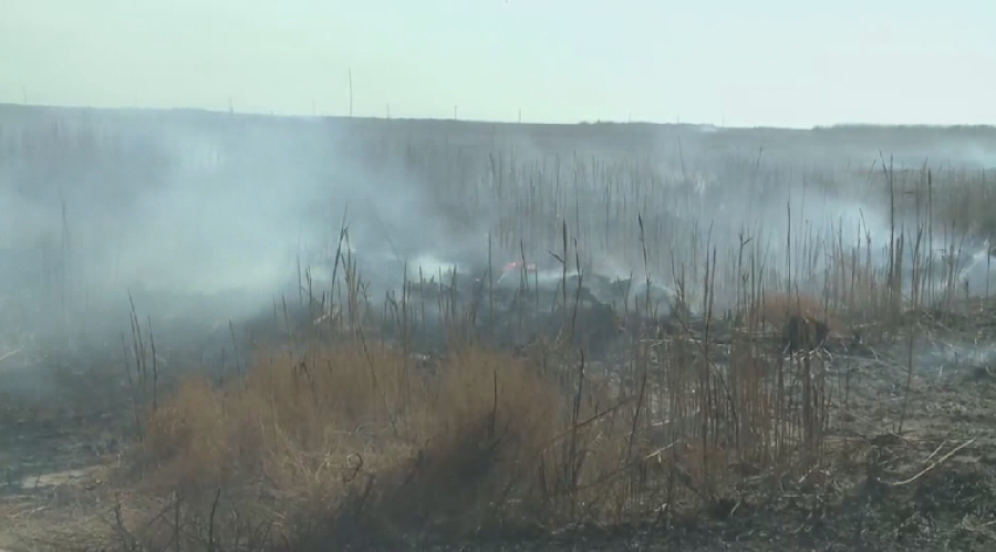 Ақмола облысында дала өрті жиіледі