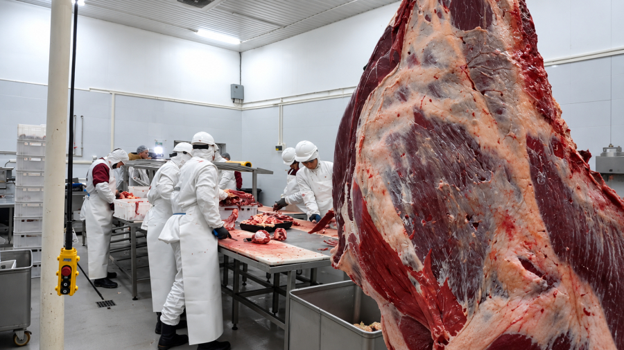 Производство продуктов питания в стране увеличилось на 13,8%
