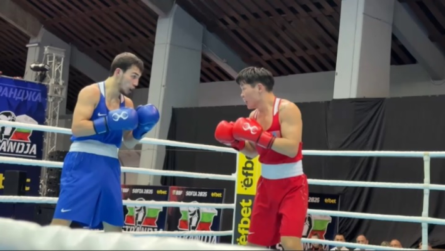 Кубок Странджа-2026: Казахстан завершил выступление с 9 медалями