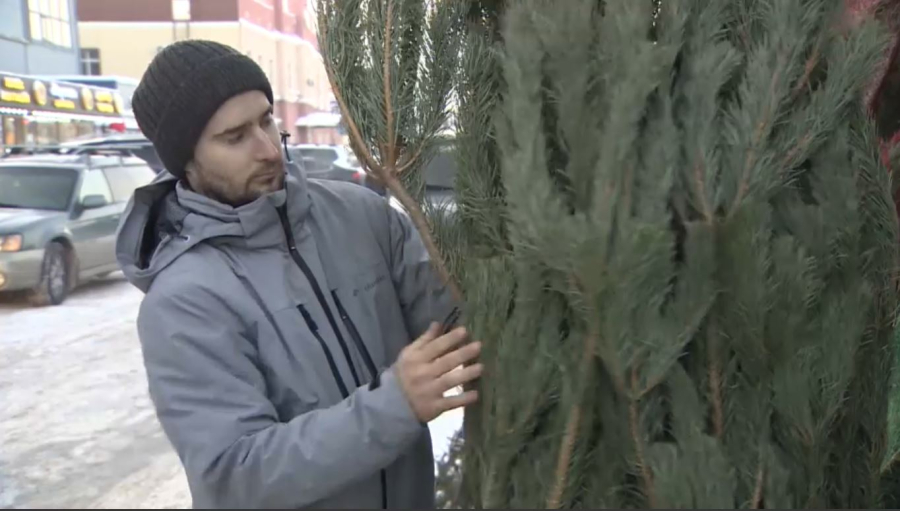 Елордада шырша саудасы қызып тұр