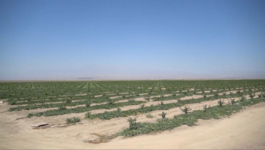 Өзбекстанда су қоры азайды