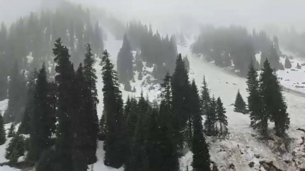 Алматы тауларында қар көшті