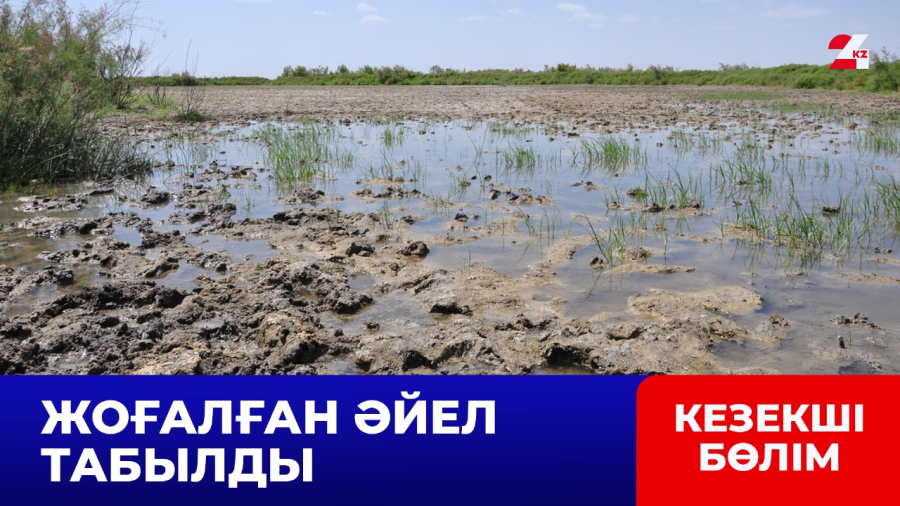 Батпаққа батып қалған әйел бір тәуліктен кейін табылды