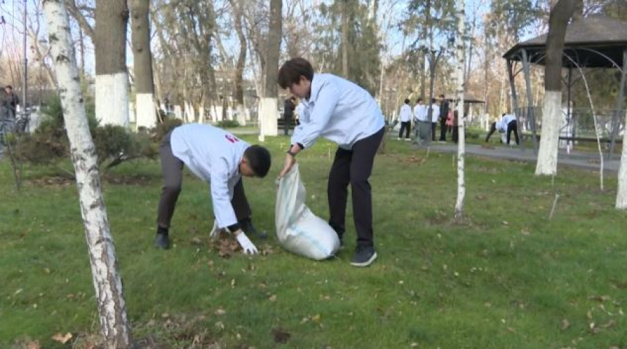 Волонтёры Шымкента отправляют мусор на переработку