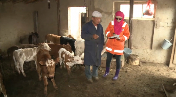 Ақтөбе облысында ветеринарлар салғырттыққа жол берген