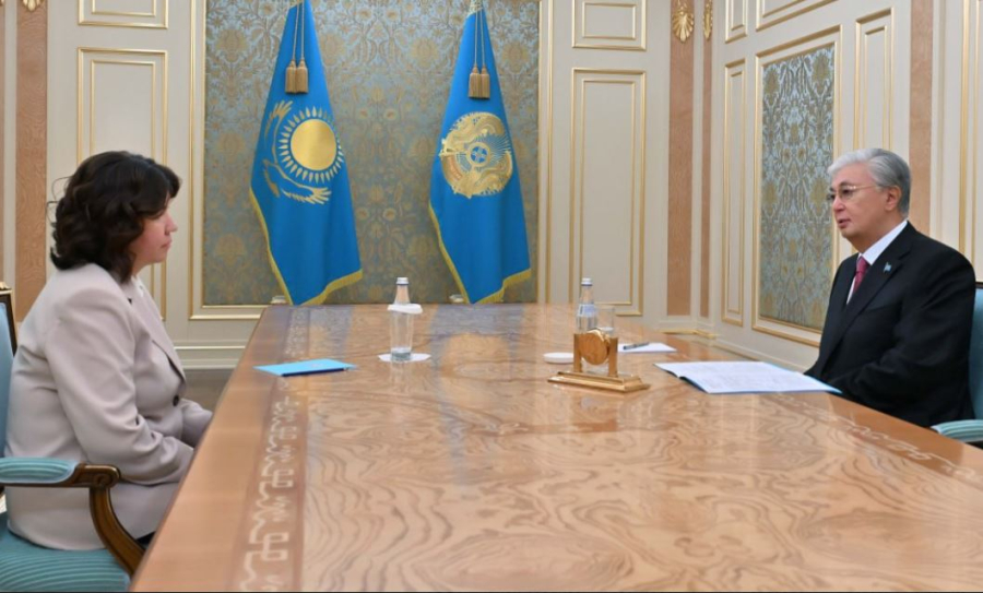 Президент Оқу-ағарту министрі Жұлдыз Сүлейменованы қабылдады