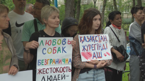 Мирный митинг в защиту животных прошёл в Алматы