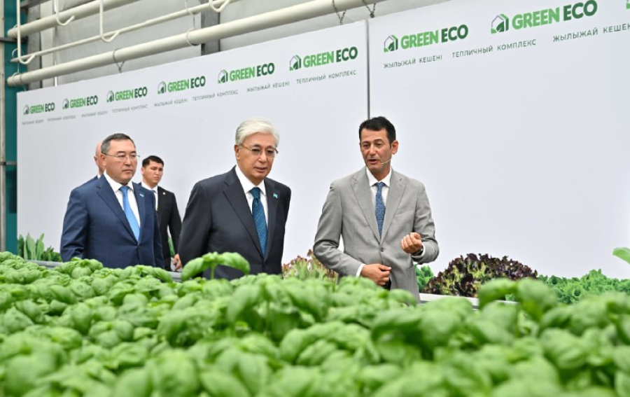 Президенту показали тепличный комплекс GREEN ЕСО