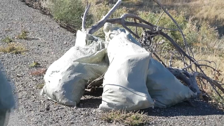 Көне Қойлық қалашығы қоқыстан тазартылды