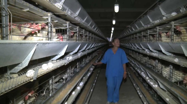 Более 7 тыс. рабочих мест планируют открыть в Жамбылском районе Алматинской области